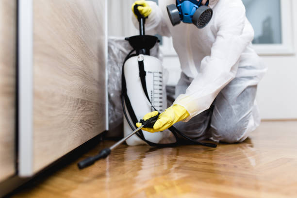 Best Termite Control Services  in Darien, GA