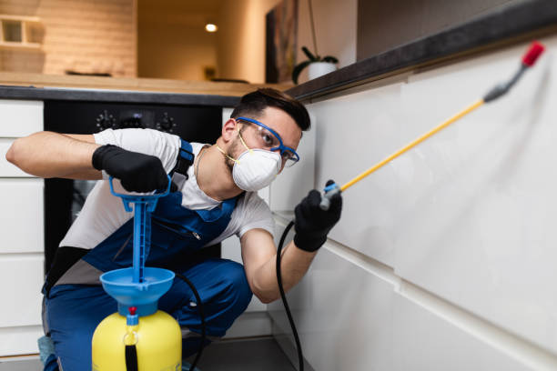 Best Bed Bug Extermination  in Darien, GA