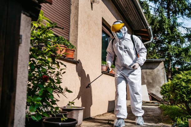 Best Ant Control Services  in Darien, GA