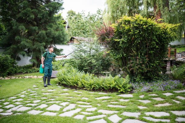 Best Pest Control Near Me in Darien, GA