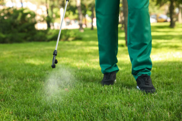 Best Flea Control Services  in Darien, GA