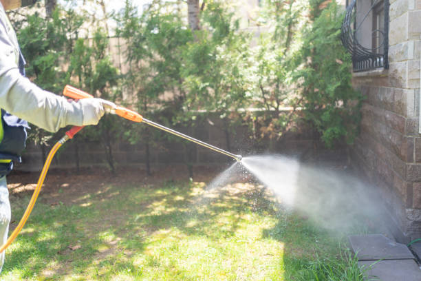 Best Spider Control Near Me  in Darien, GA