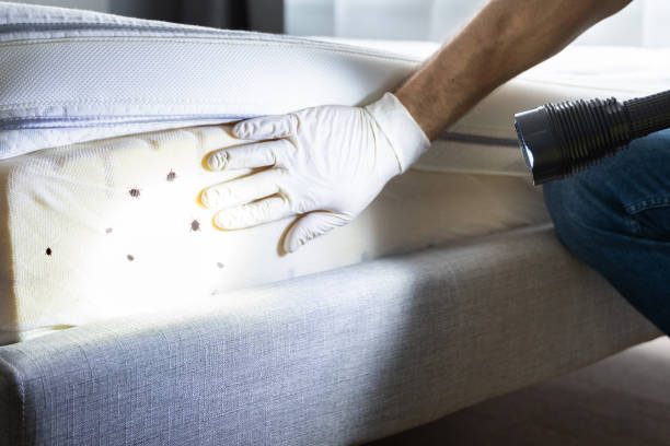 Best Cockroach Control Services  in Darien, GA