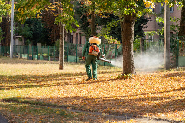 Best Insect Control  in Darien, GA