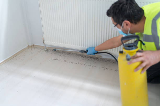 Best Pest Prevention Services  in Darien, GA