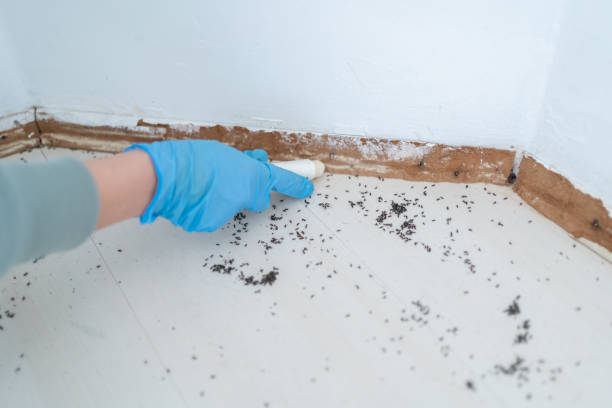 Best Best Pest Control Near Me  in Darien, GA